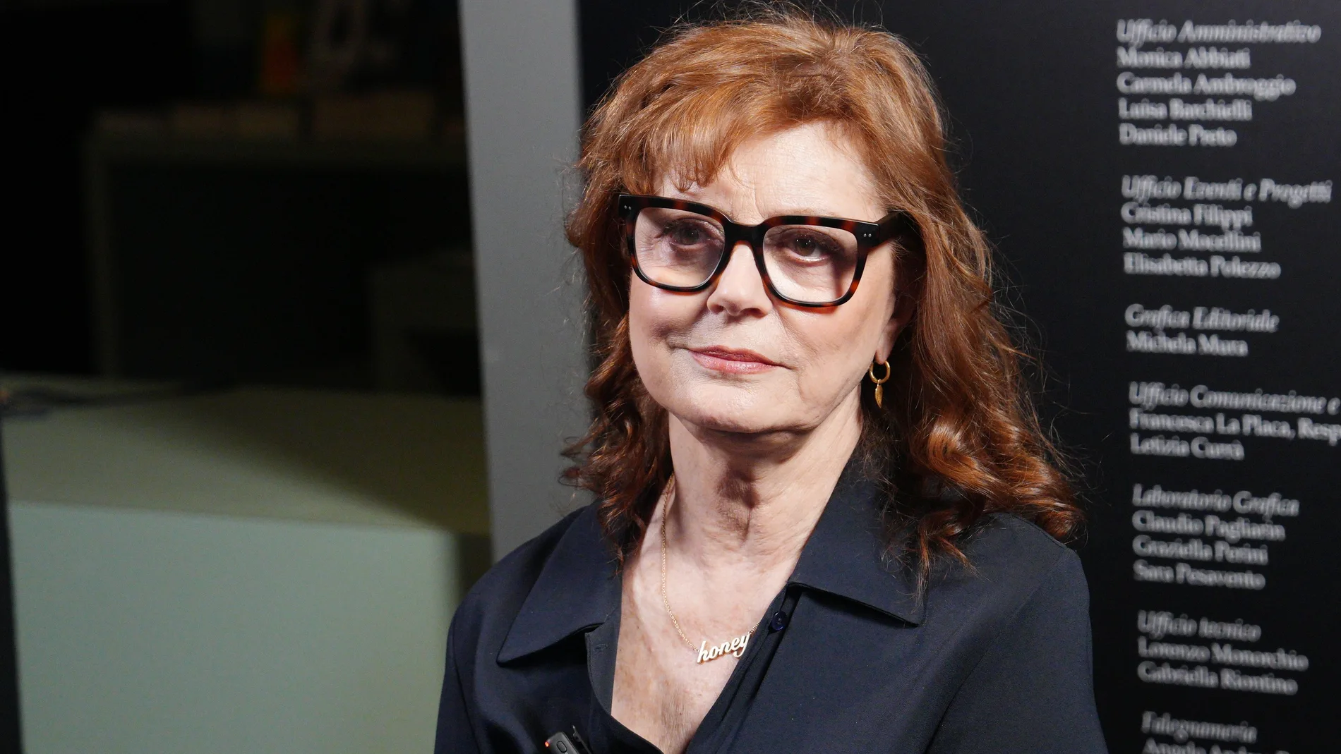 susan sarandon
